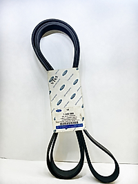 Ford Transit v347 V kayışı 6C1Q 6C301GC